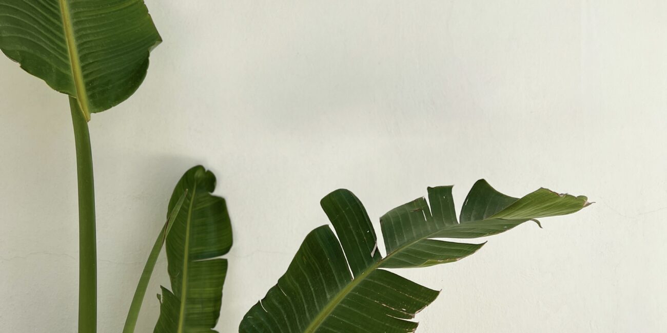 Café, Bar, and Restaurant Branding Specialist- Cerah Beth Design